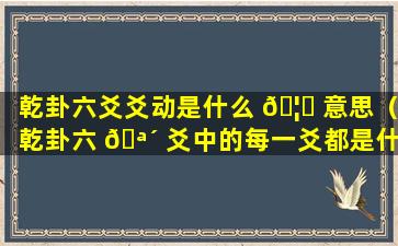 乾卦六爻爻动是什么 🦄 意思（乾卦六 🪴 爻中的每一爻都是什么爻）